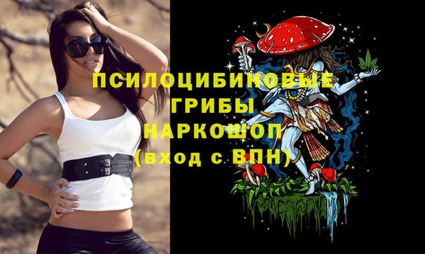 тгк Волоколамск