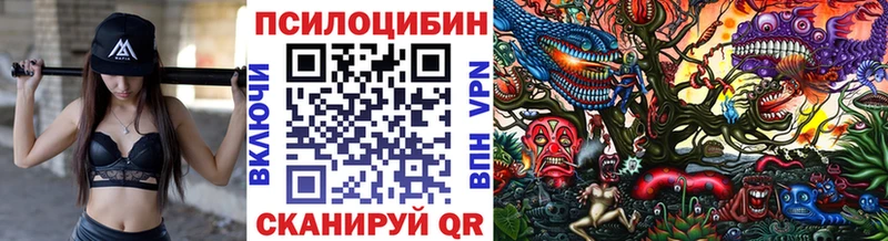 Галлюциногенные грибы Cubensis  Назарово 